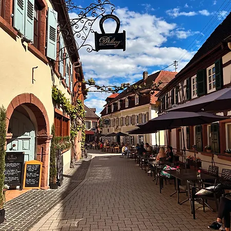 Haisel Vier Dom wakacyjny *