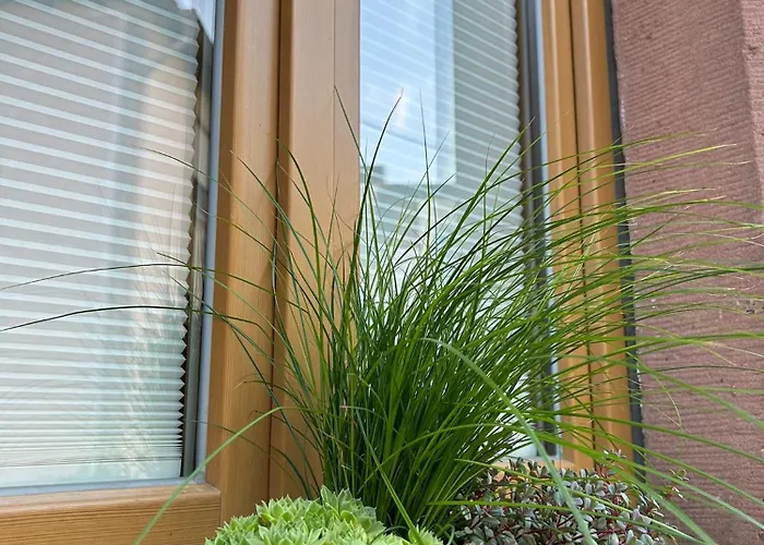 Haisel Vier Casa de Férias